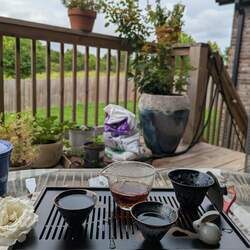 A traditional Chinese tea set with slotted tray and tea pet set up with puerh tea brewing in a glass cup with a spout, on a porch full of potted plants.