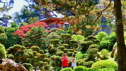 Japanese Tea Garden In San Francisco 