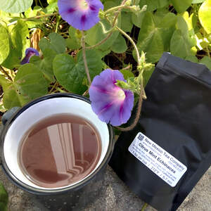 A gaggle of morning glory flowers behind a brewed cup of Citrus Mint Echinacea tea and a bag with a white label on it.