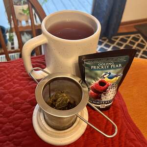 A mug of brewed prickly pear oolong tea with an infuser full of used tea leaves and a bag of loose leaf tea in front of the mug.