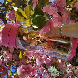 A pink travel tumbler full of cold brewed witches broom puerh tea held up in front of a tree with bright pink flowers all over it.